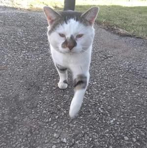 Meet your Posher, Danell